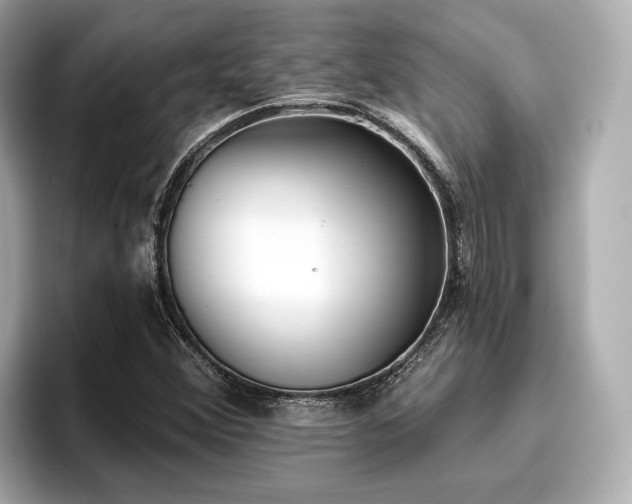 X0000096711356200802051412