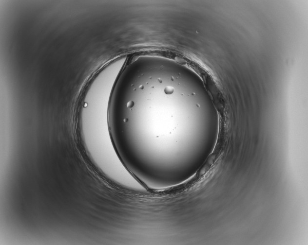 X0000096711357200802051412