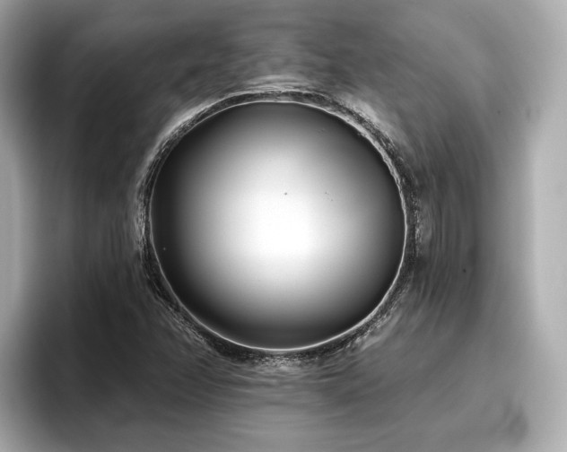 X0000096711358200802051412