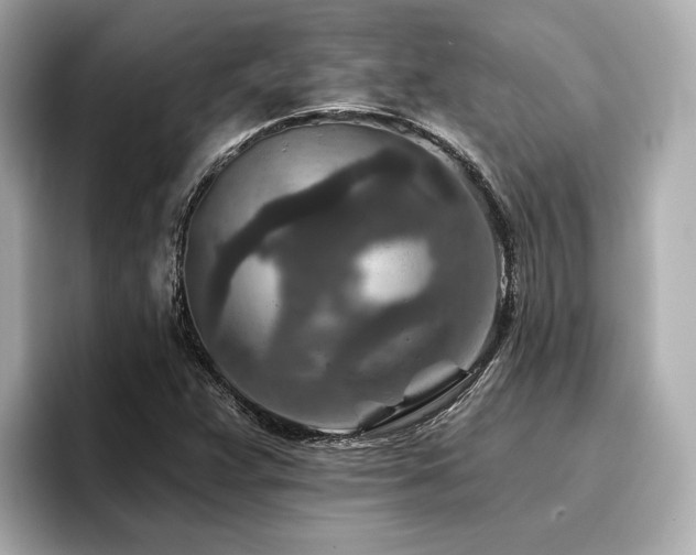 X0000096711359200802051412