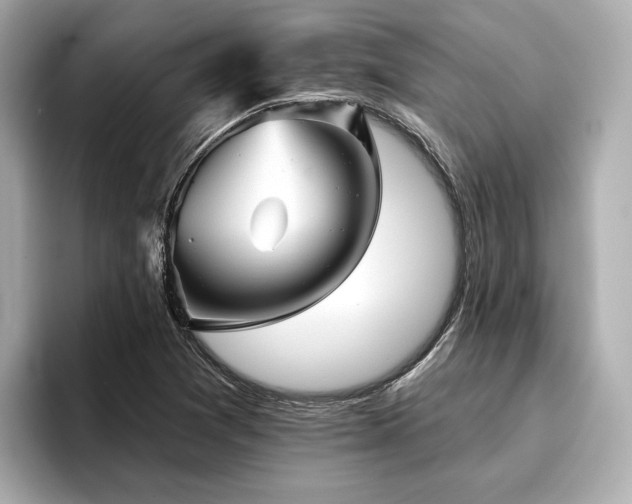 X0000096711361200802051412