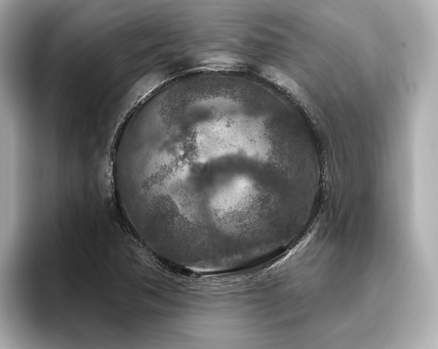 X0000096711362200802051412