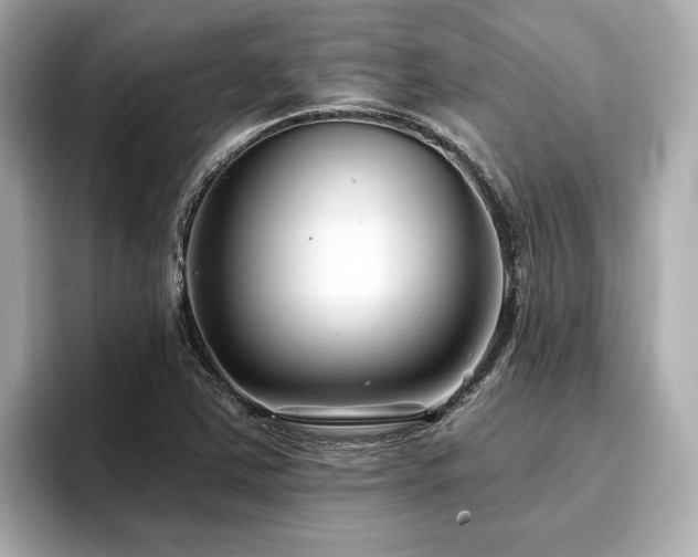 X0000096711363200802051412