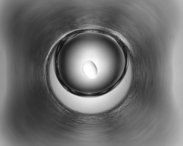 X0000096711364200802051412