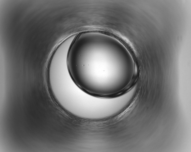 X0000096711365200802051412