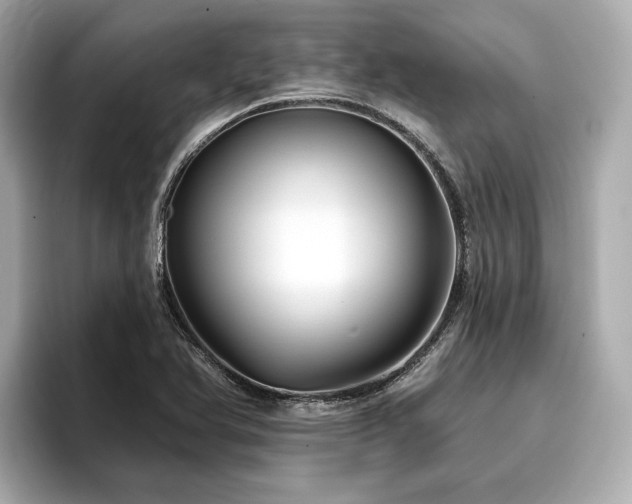 X0000096711366200802051412