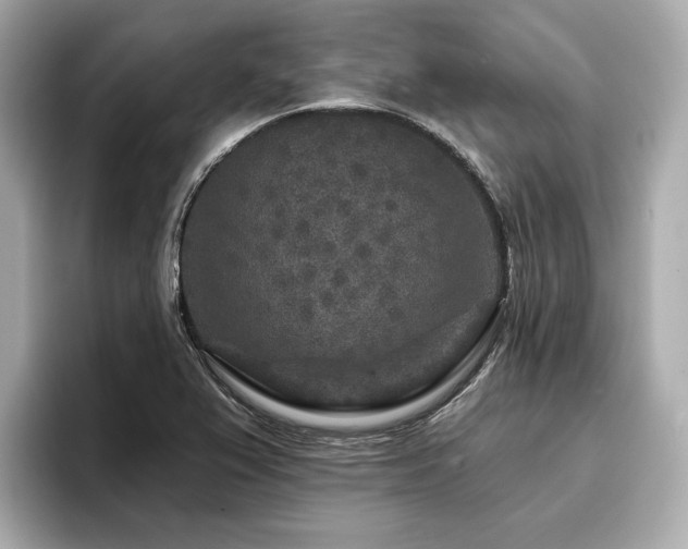 X0000096711367200802051412