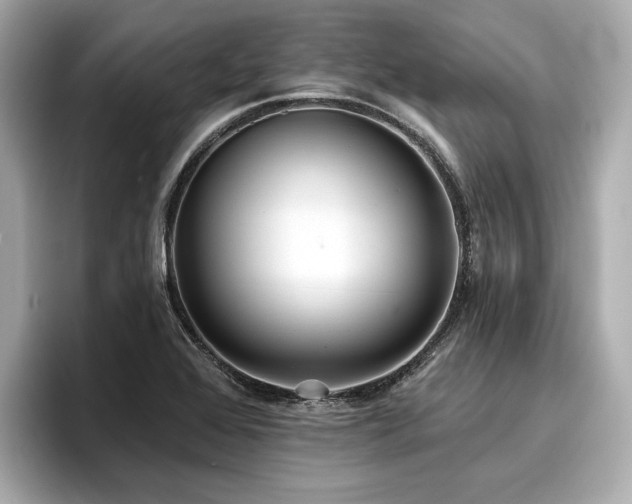 X0000096711368200802051412