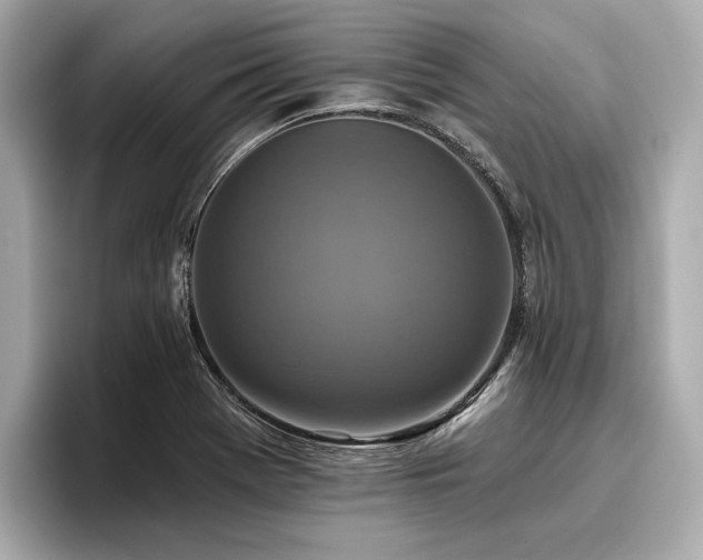 X0000096711369200802051412