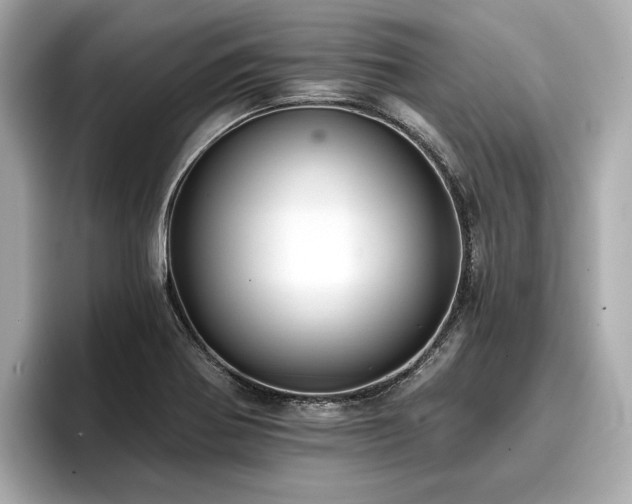 X0000096711370200802051412