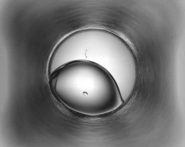 X0000096711372200802051412