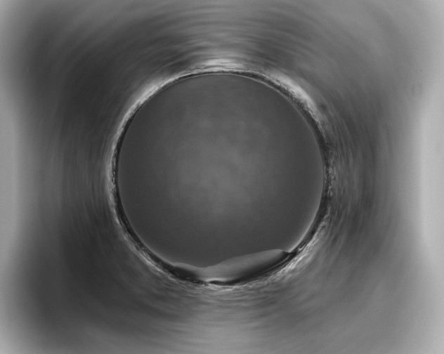 X0000096711373200802051412