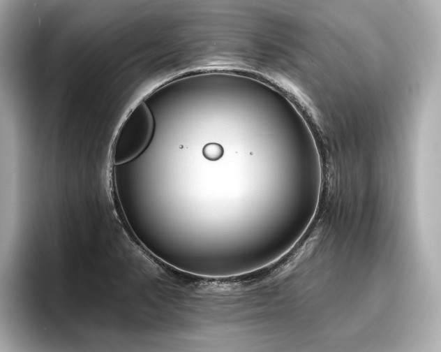 X0000096711374200802051412