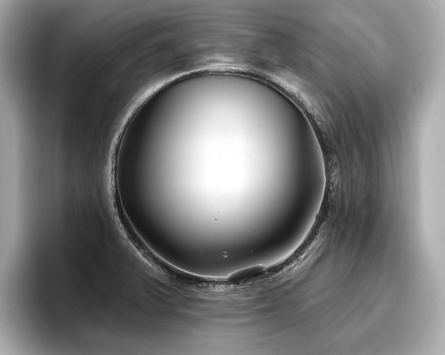 X0000096711375200802051412