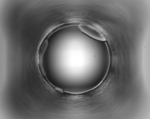 X0000096711376200802051412