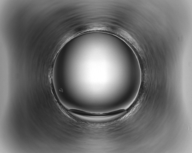 X0000096711377200802051412