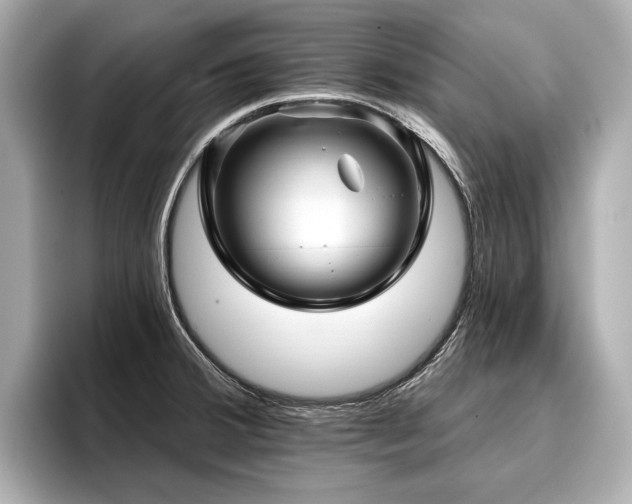 X0000096711380200802051412