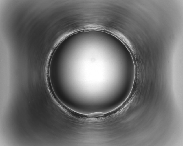 X0000096711381200802051412