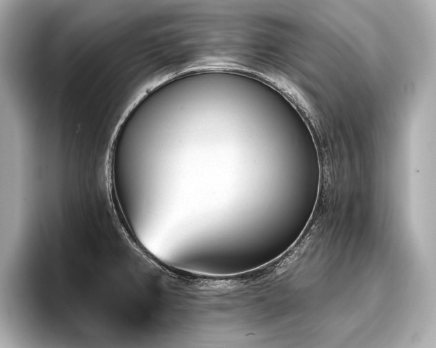 X0000096711382200802051412