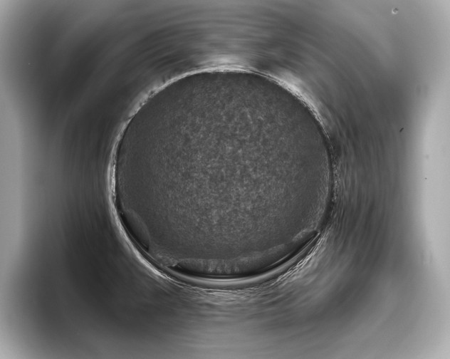 X0000096711383200802051412