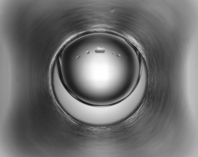 X0000096711384200802051412