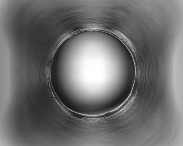 X0000096711385200802051412