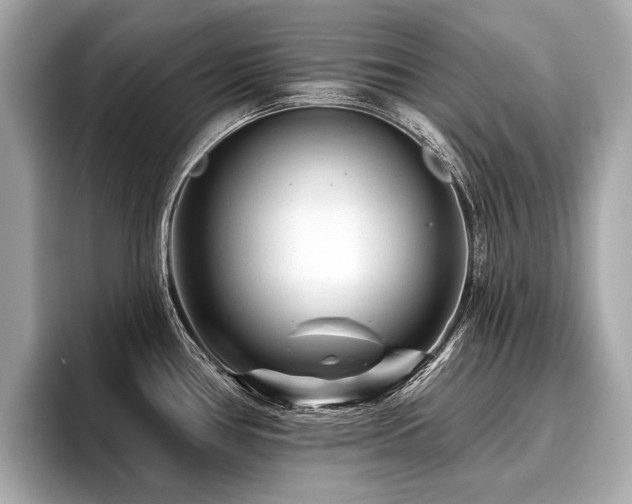 X0000096711386200802051412