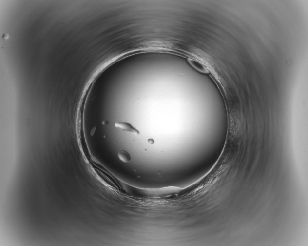 X0000096711387200802051412