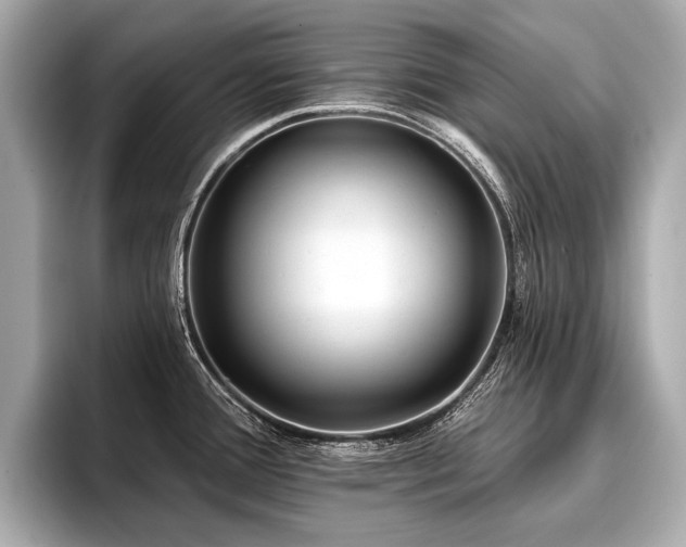 X0000096711388200802051412