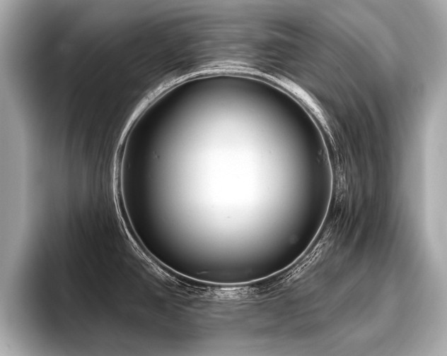 X0000096711390200802051412