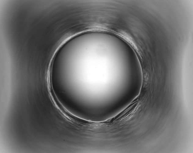 X0000096711391200802051412