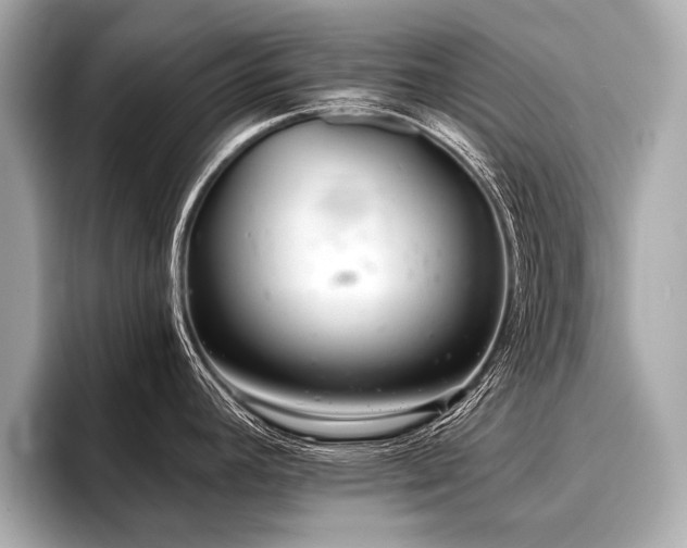 X0000096711392200802051412