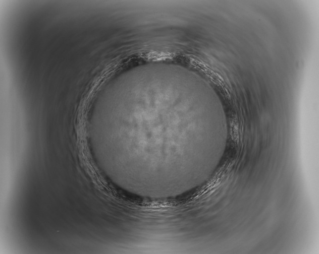 X0000096711393200802051411