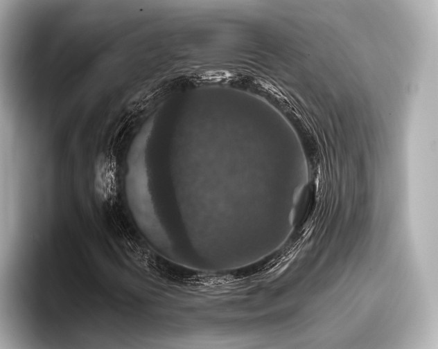 X0000096711394200802051411