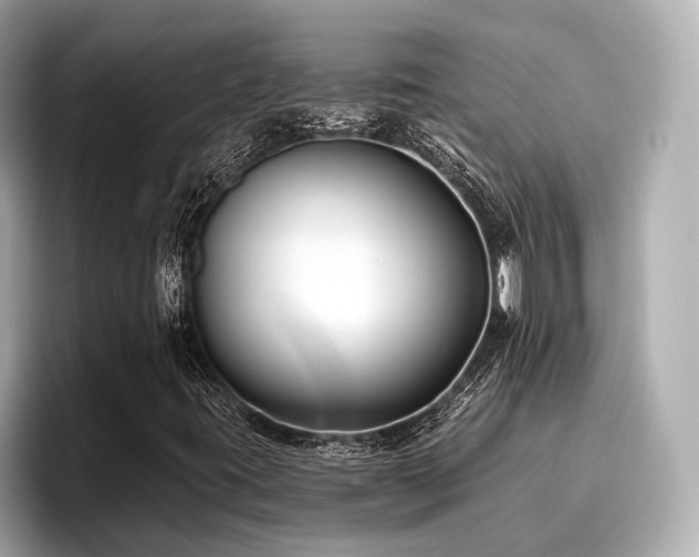 X0000096711395200802051411