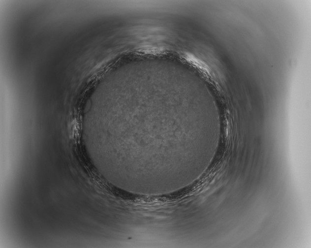 X0000096711397200802051411