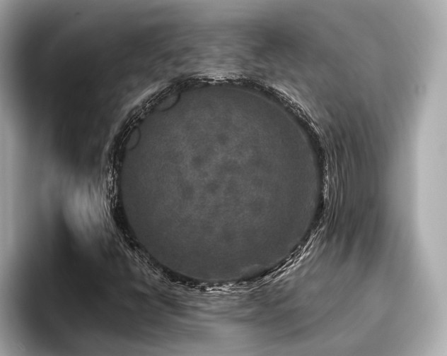 X0000096711398200802051411