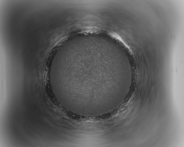 X0000096711399200802051411