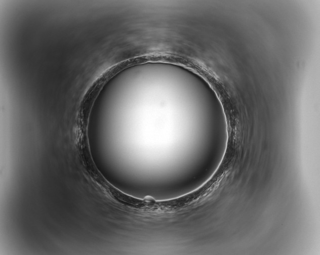 X0000096711400200802051411