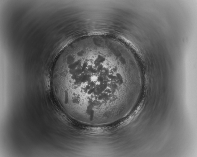 X0000096711401200802051411