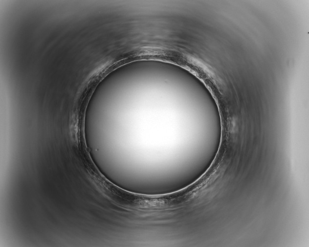 X0000096711403200802051411