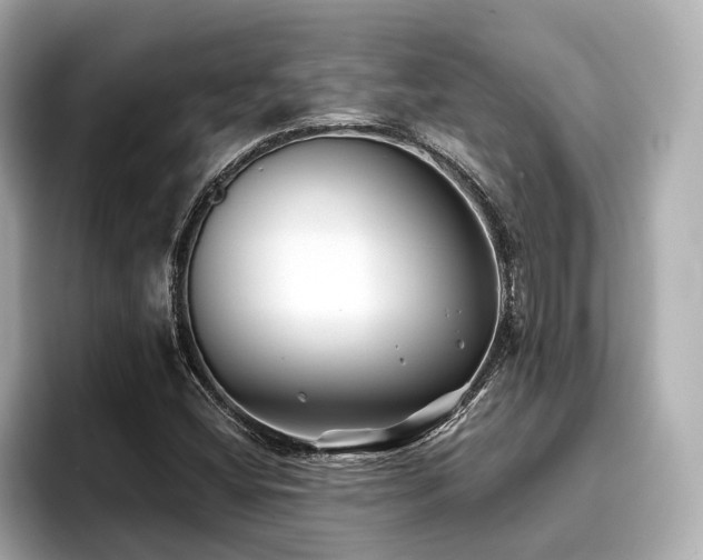 X0000096711404200802051411