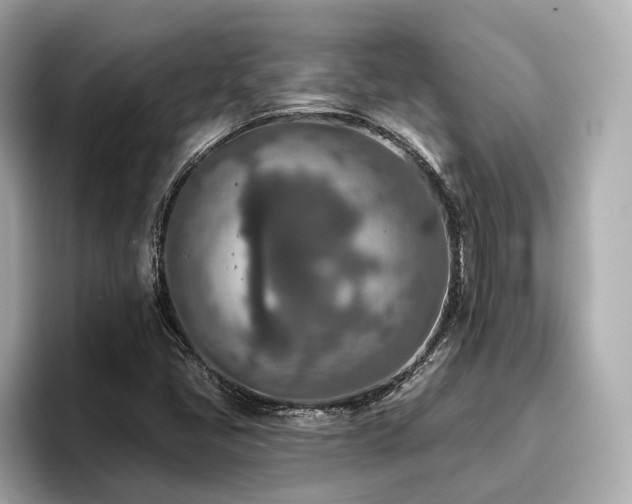 X0000096711405200802051411