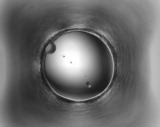 X0000096711406200802051411