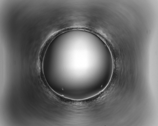 X0000096711408200802051411