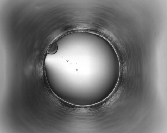 X0000096711409200802051411