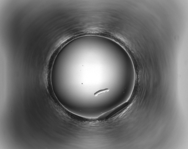 X0000096711410200802051411