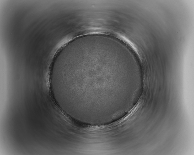 X0000096711411200802051411