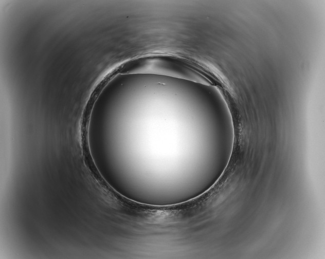 X0000096711412200802051411