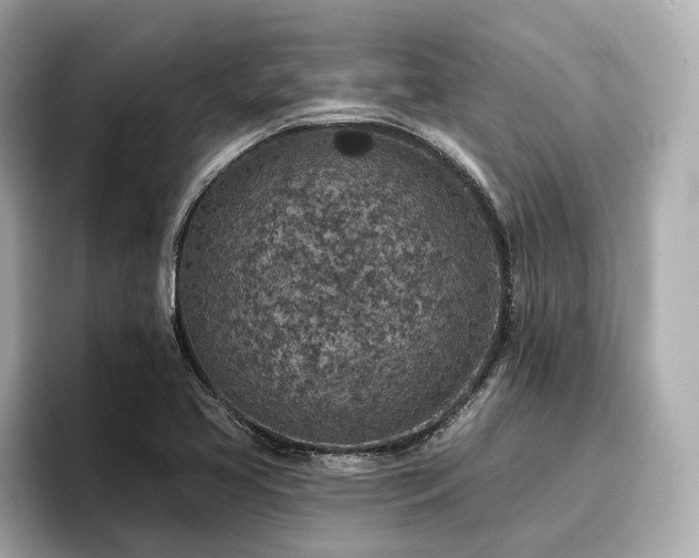 X0000096711413200802051411